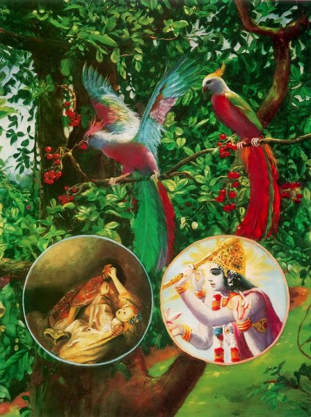Krsna and the living entity are seated on the tree of the body.
